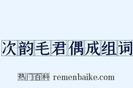 次韵毛君偶成组词是什么意思的图片